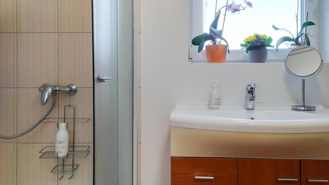 Apartments Vinska Trta Чатеж об Сави Екстериор снимка